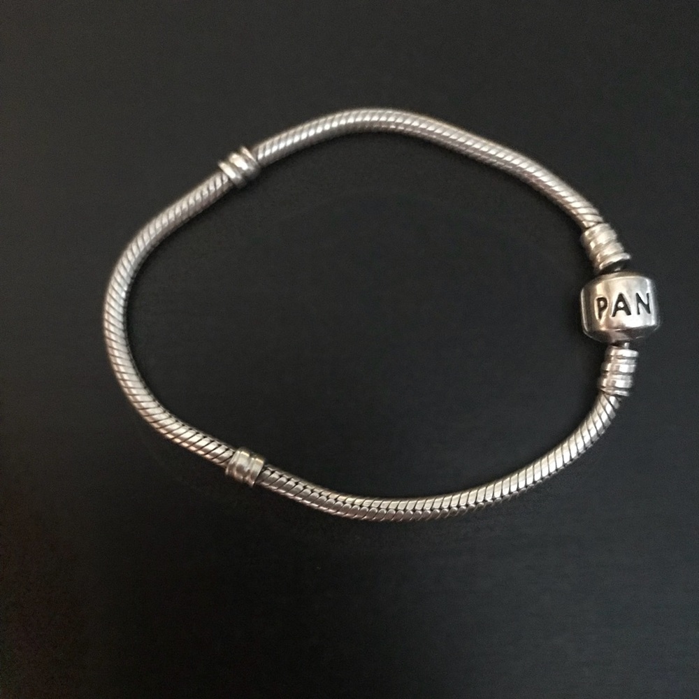 7 Inch Pandora Iconic Silver Charm Bracelet